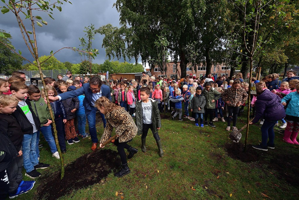 Wethouder Hans Wierikx plant een appelboom op het speelterrein naast De Klinkert. De rijpe appels worden later verkocht in de schoolplein-winkel op de achtergrond. PETER VAN TRIJEN/PIX4PROFS