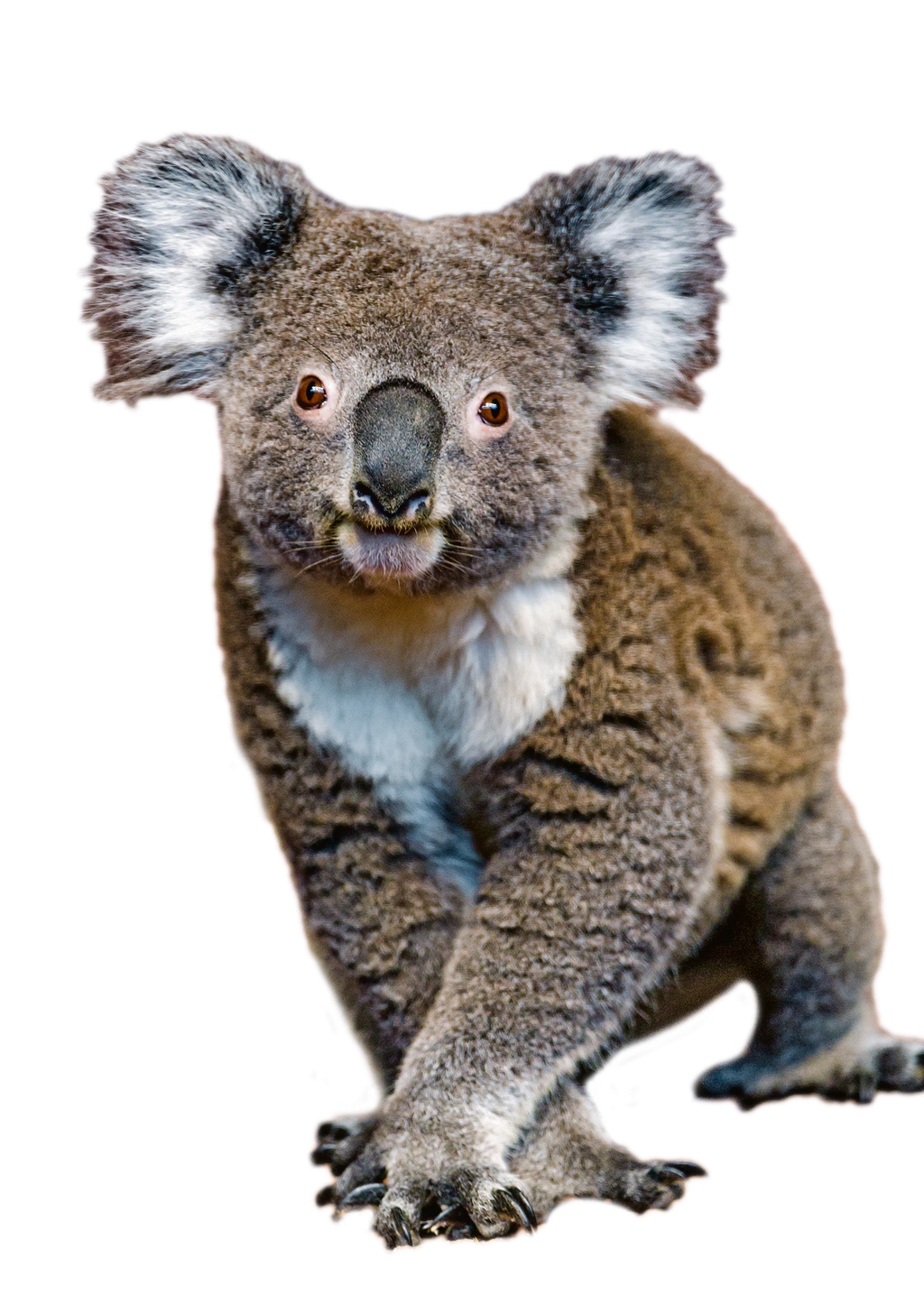 digitalekrant.volkskrant.nl